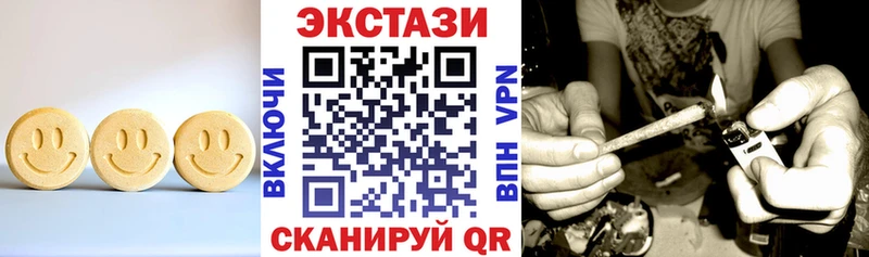 купить наркотики цена  Нестеровская  ЭКСТАЗИ диски 